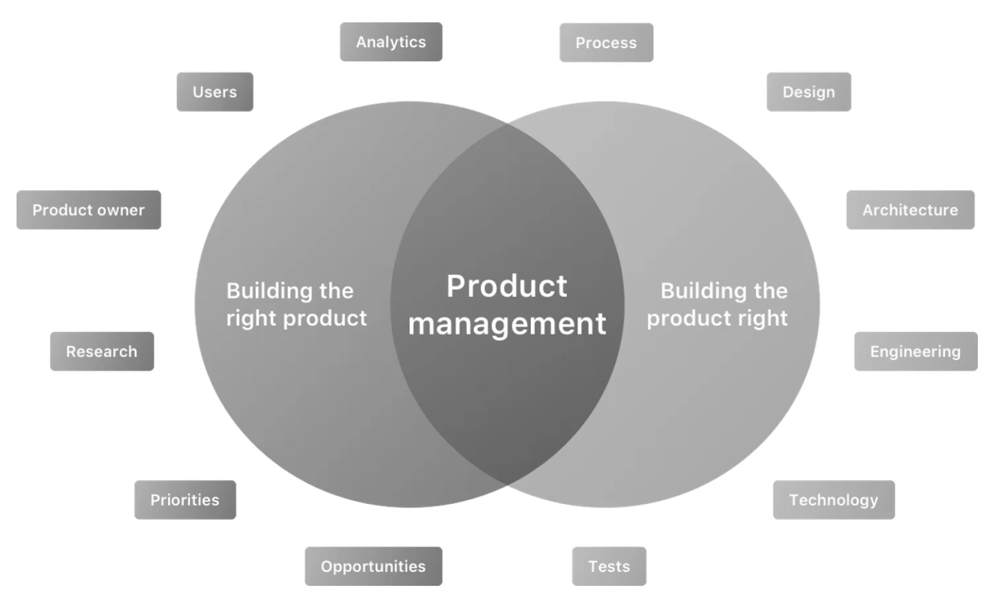 Product manager role venn diagram