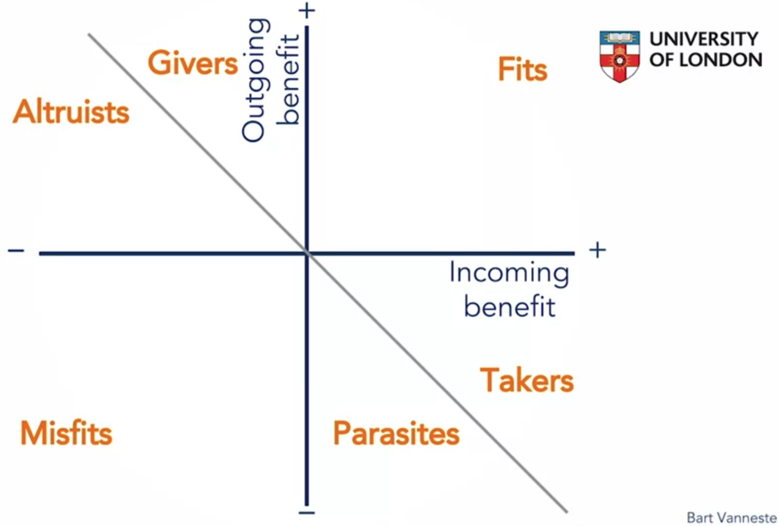 Synergistic portfolio framework