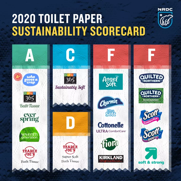 Toilet paper brands