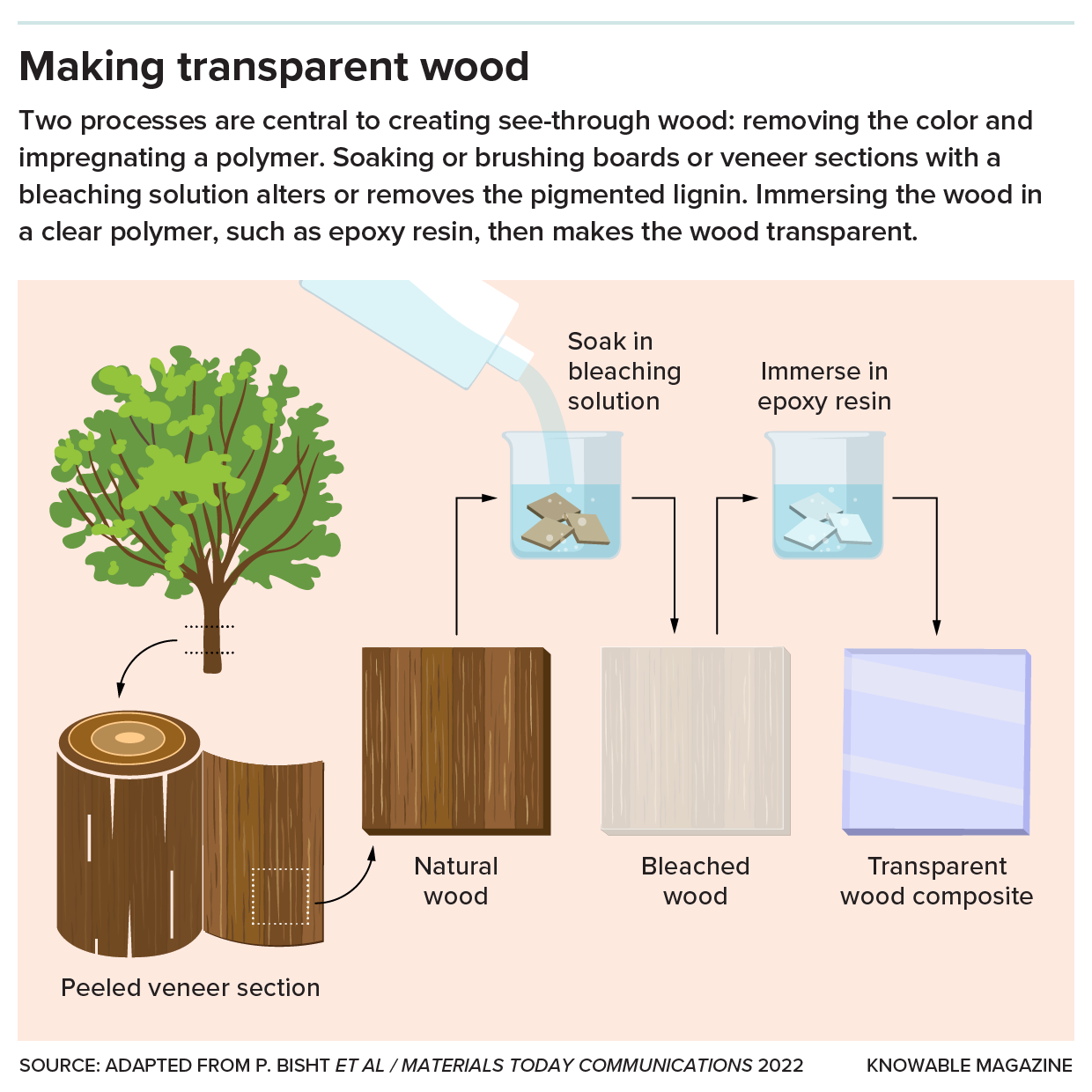 Transparent wood process